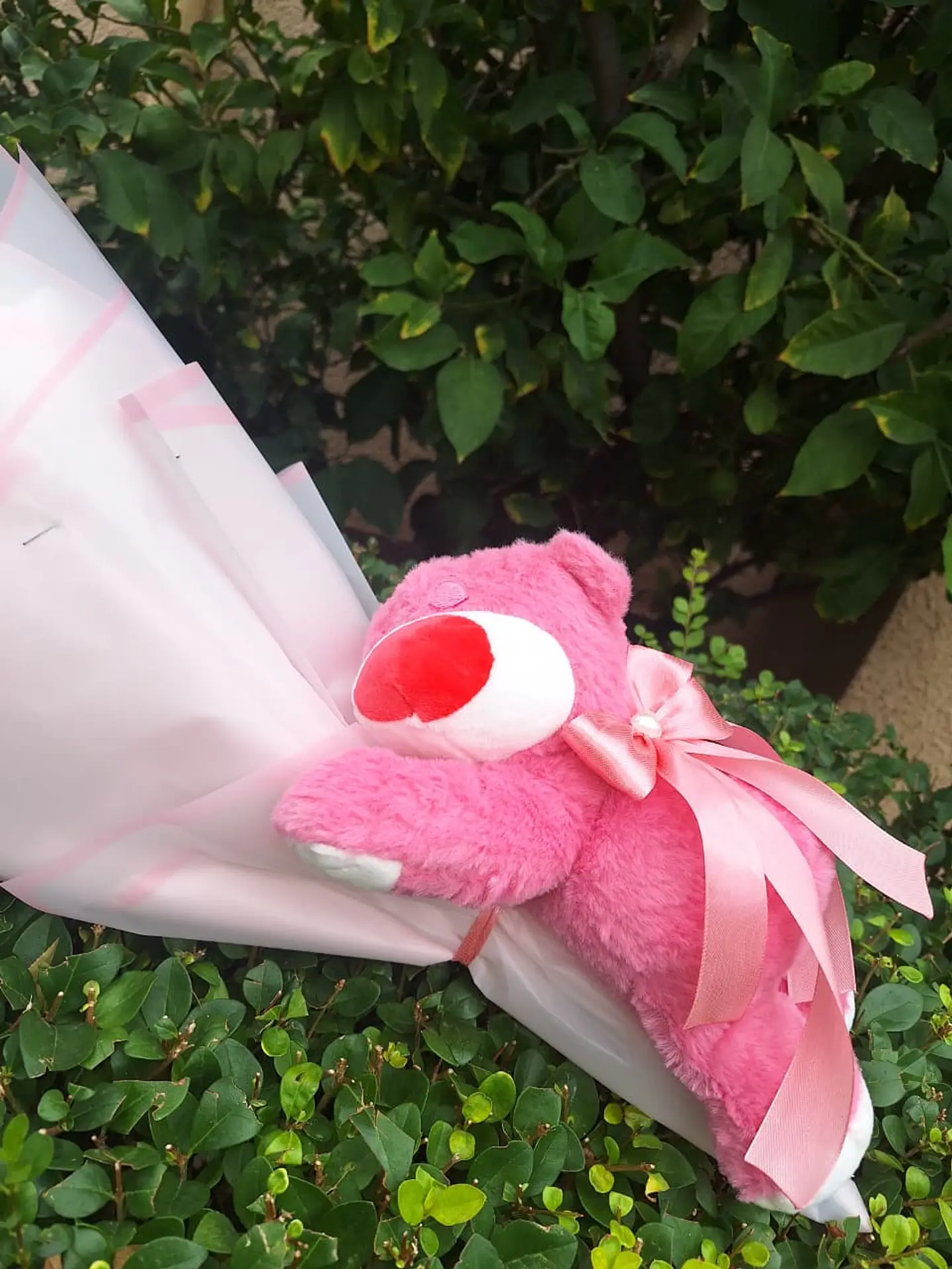 Minibuchon Lotso 3