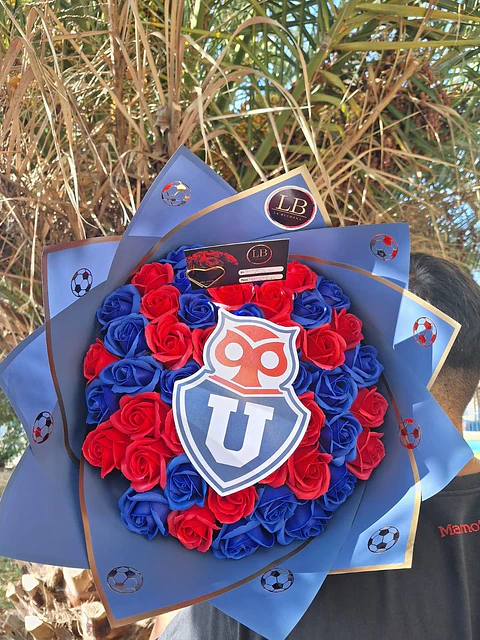 Ramo de Universidad de Chile