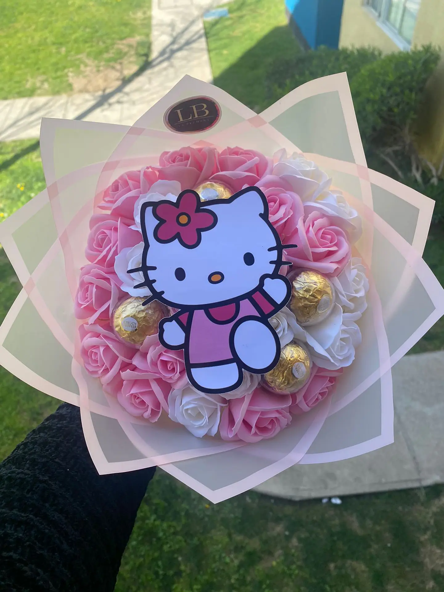 Minibuchon Hello Kitty  2