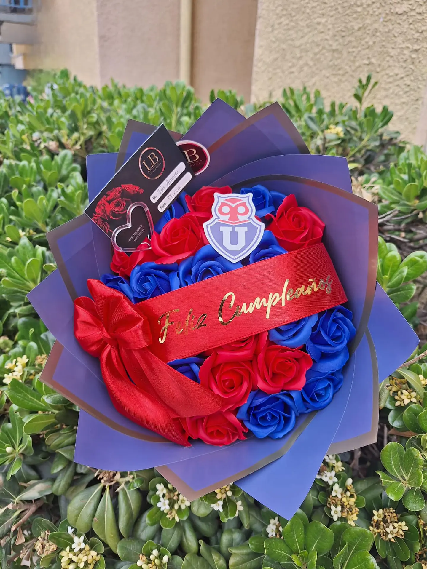 Ramo eterno de U. de Chile  1