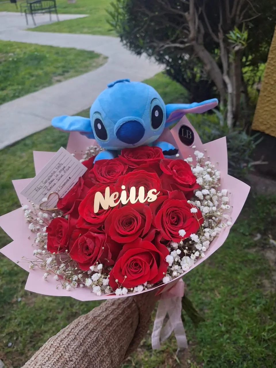 12 Rosas Naturales + Stitch  1