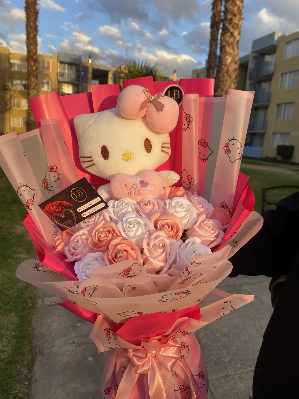 Ramo Hello Kitty  1