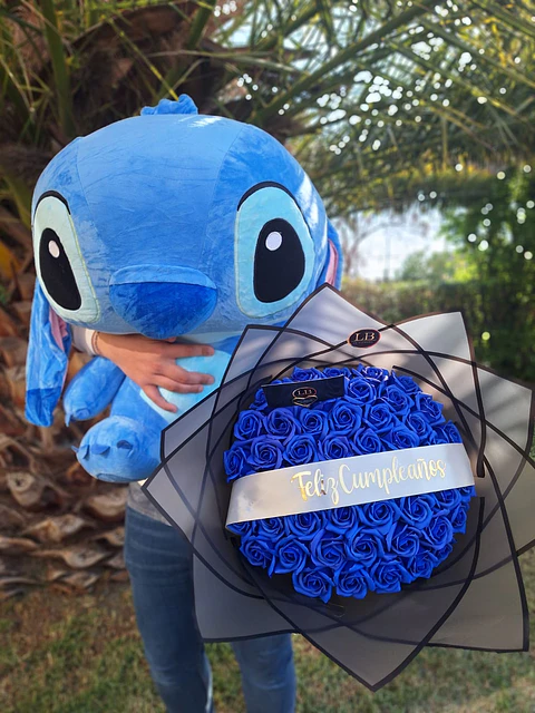 Stitch + Ramo = Todo que ver!