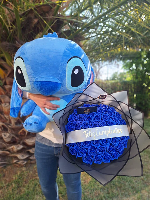 Stitch + Ramo = Todo que ver!