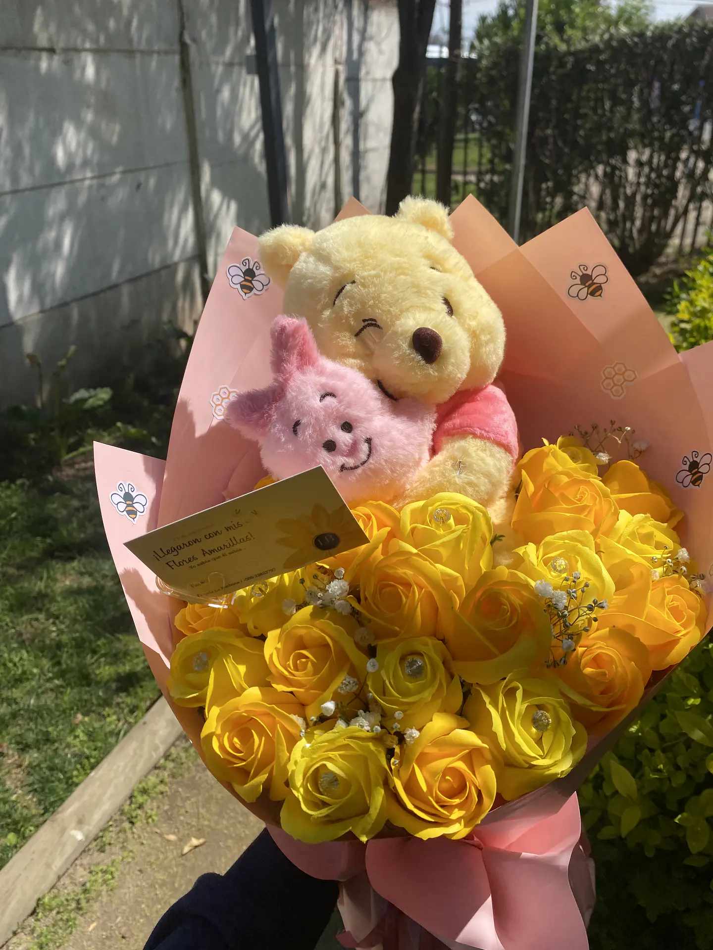 21 Rosas con winnie the pooh🍯| Rosas Eternas  2