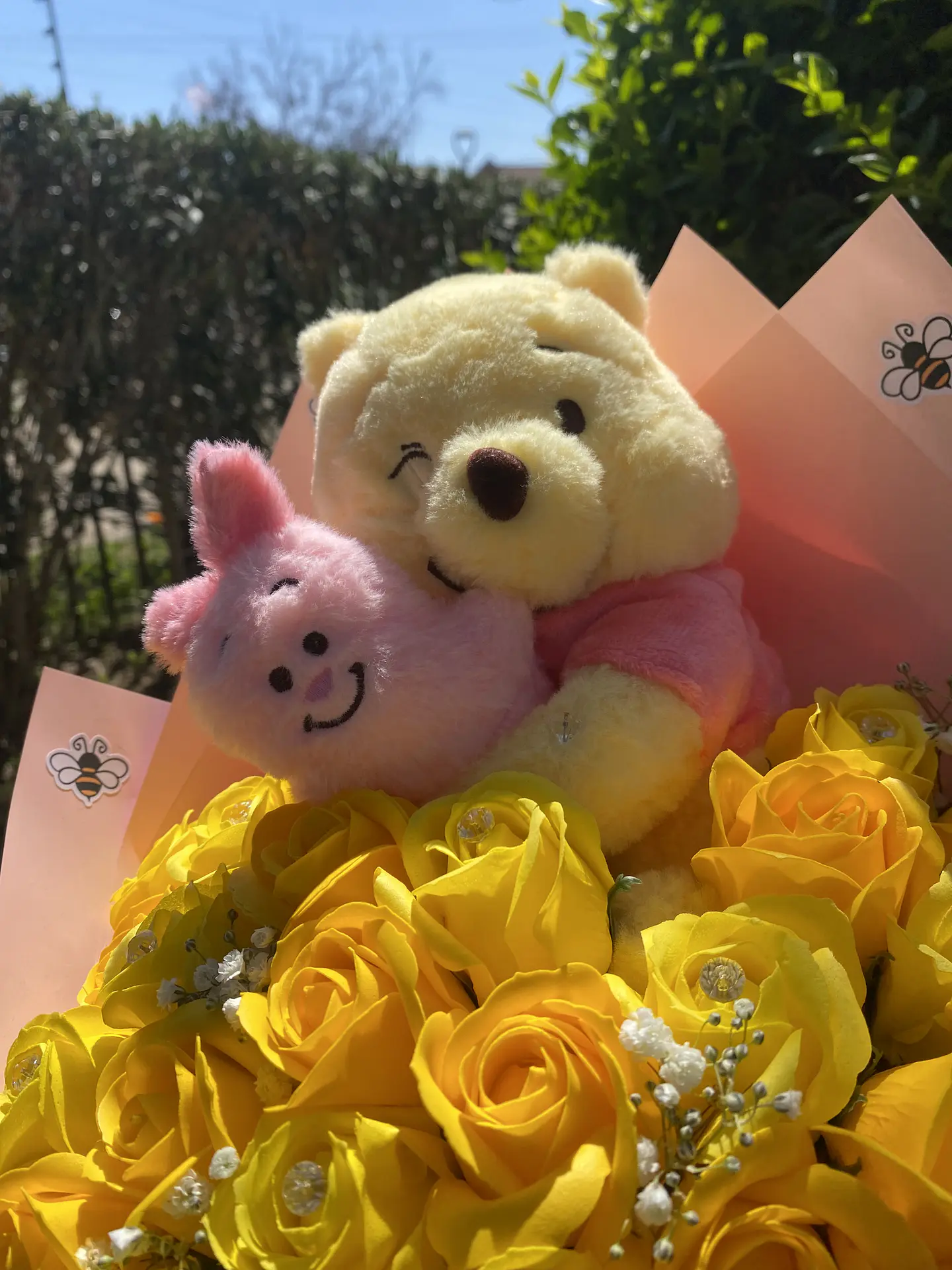 21 Rosas con winnie the pooh🍯| Rosas Eternas  5