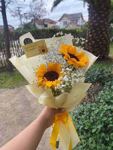 Dos Soles Para Ti 🌻💛