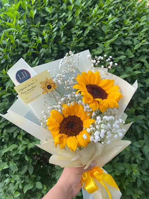 Dos Soles Para Ti 🌻💛