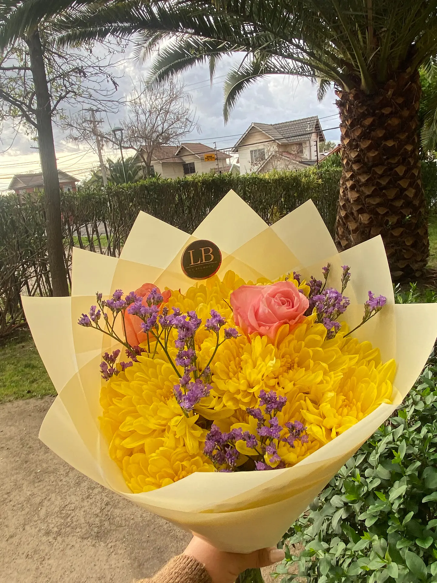 Un Dulce Ramo Amarillo  1