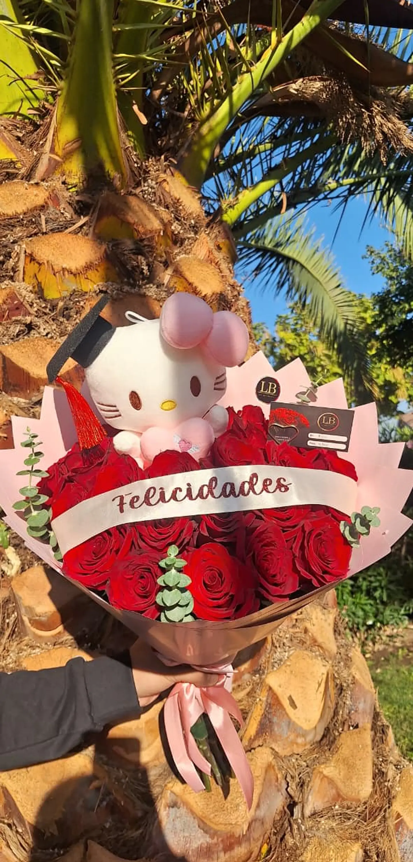 Ramo Graduada Hello Kitty 1