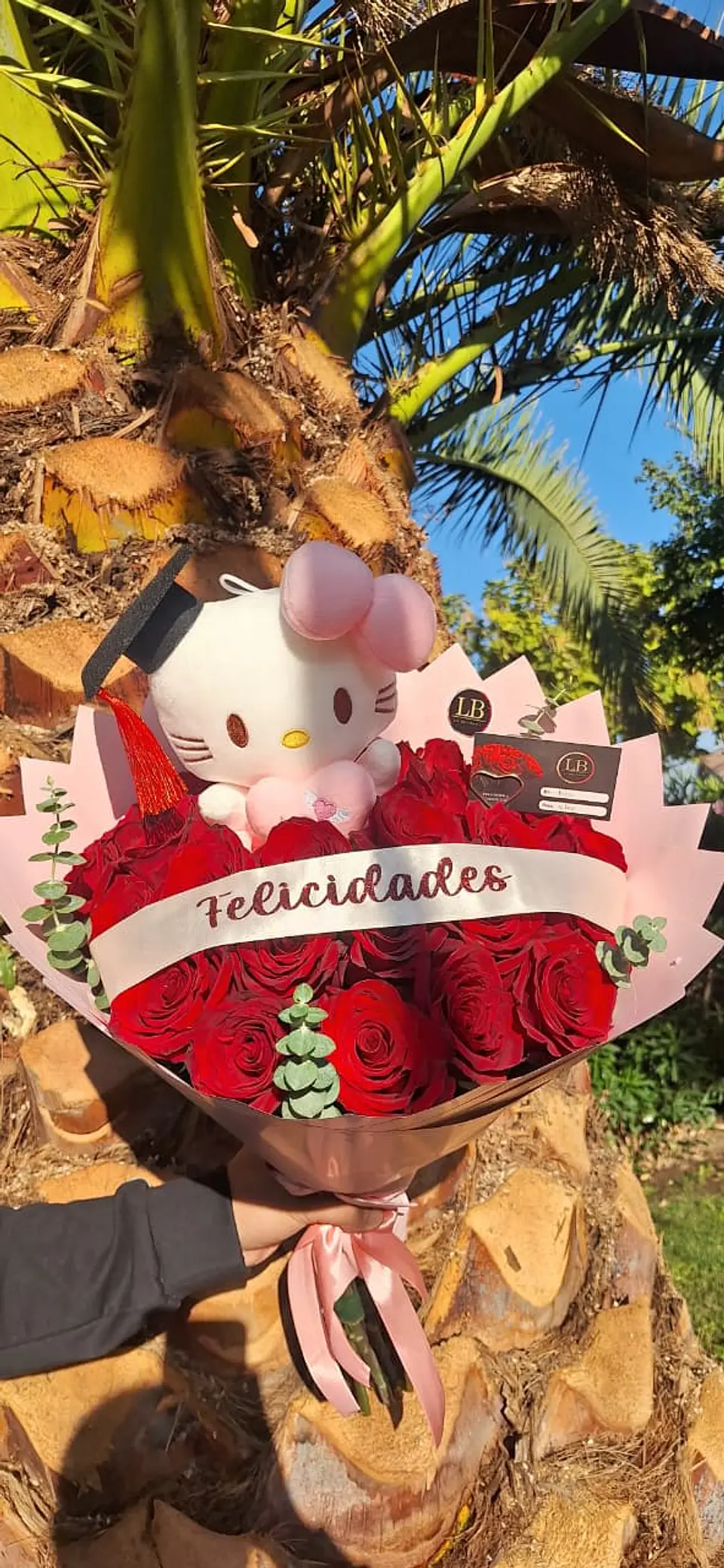 Ramo Graduada Hello Kitty 1