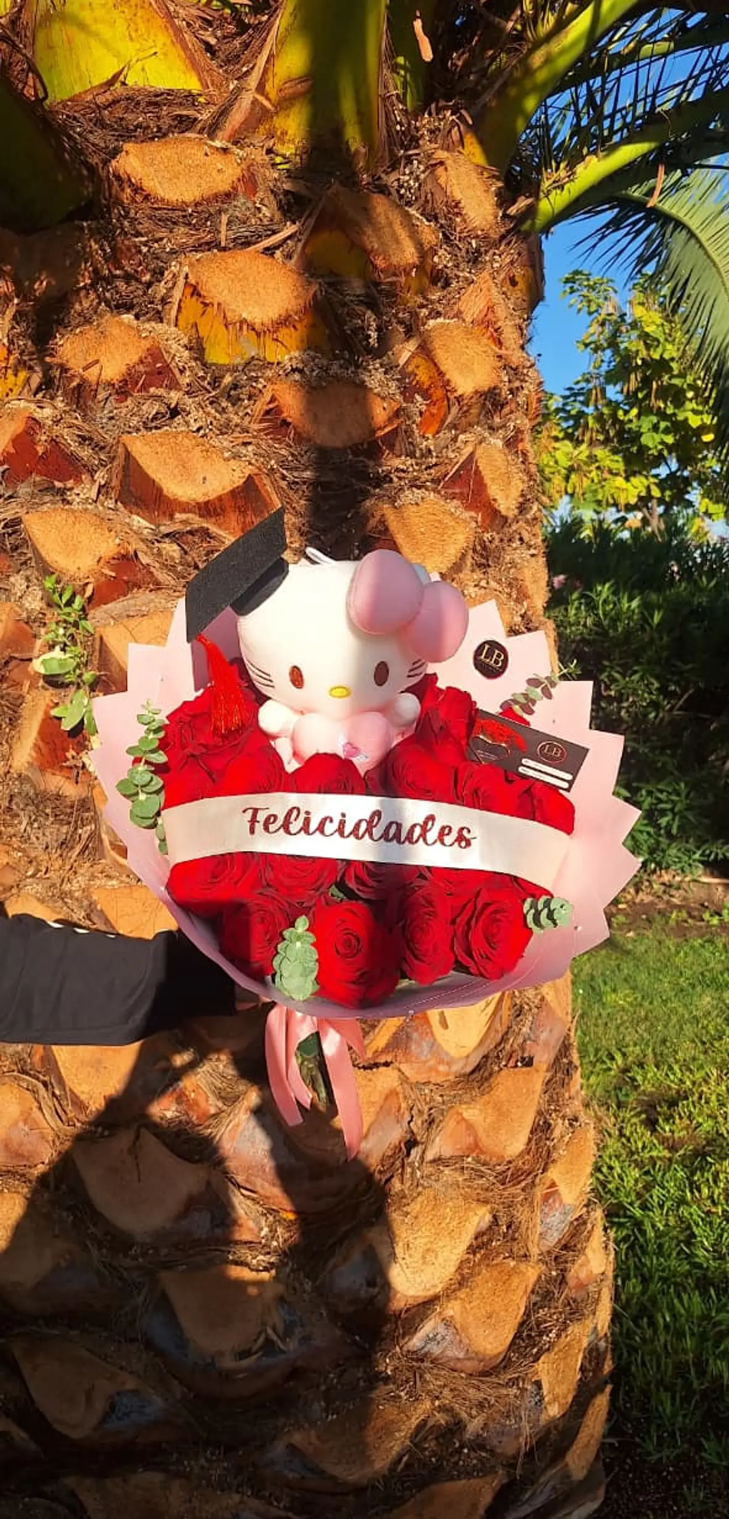 Ramo Graduada Hello Kitty 2