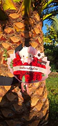 Ramo Graduada Hello Kitty - Miniatura 2