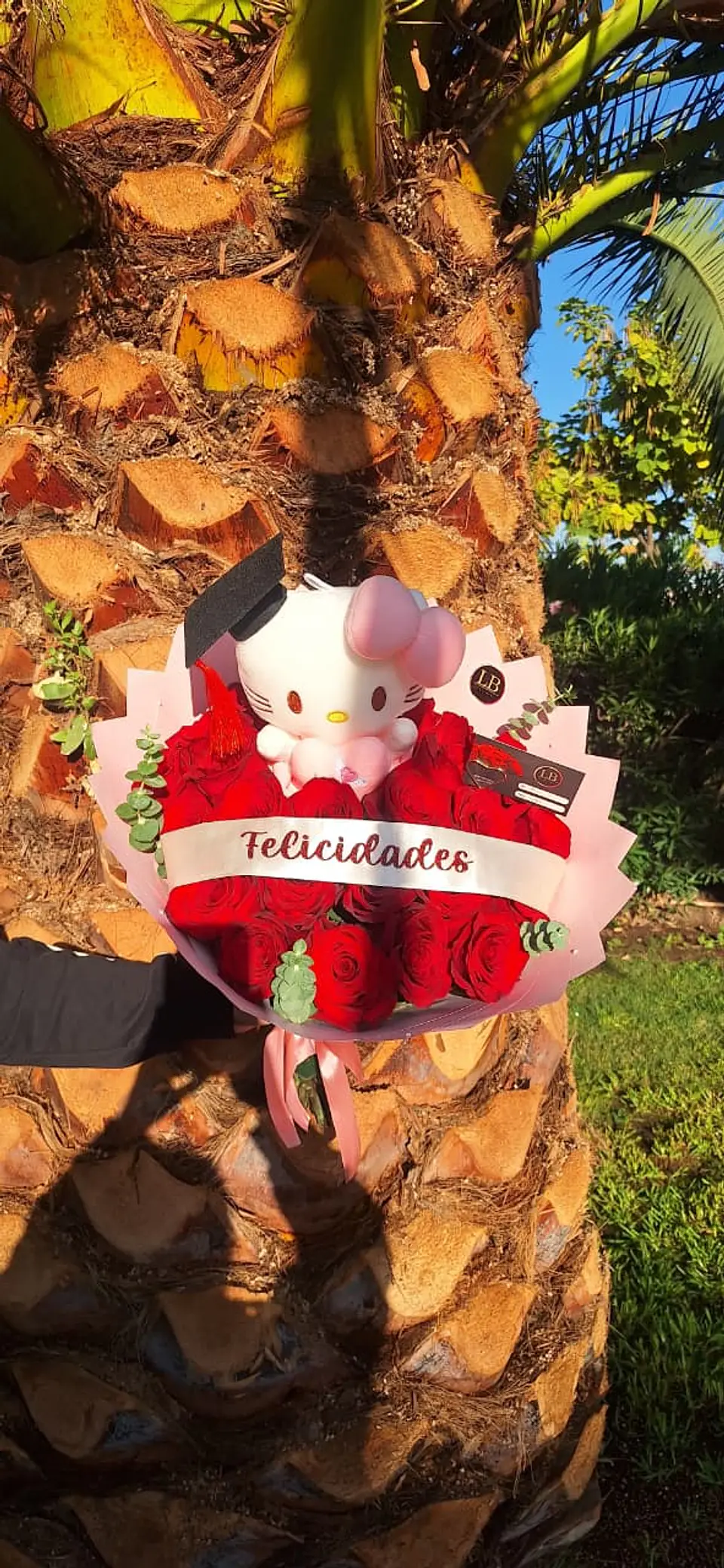Ramo Graduada Hello Kitty 2
