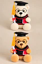 Mini Oso Graduado de Peluche 15 cm  - Miniatura 1