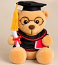Mini Oso Graduado de Peluche 15 cm  - Miniatura 3