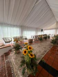Ceremonia de Girasoles - Miniatura 2
