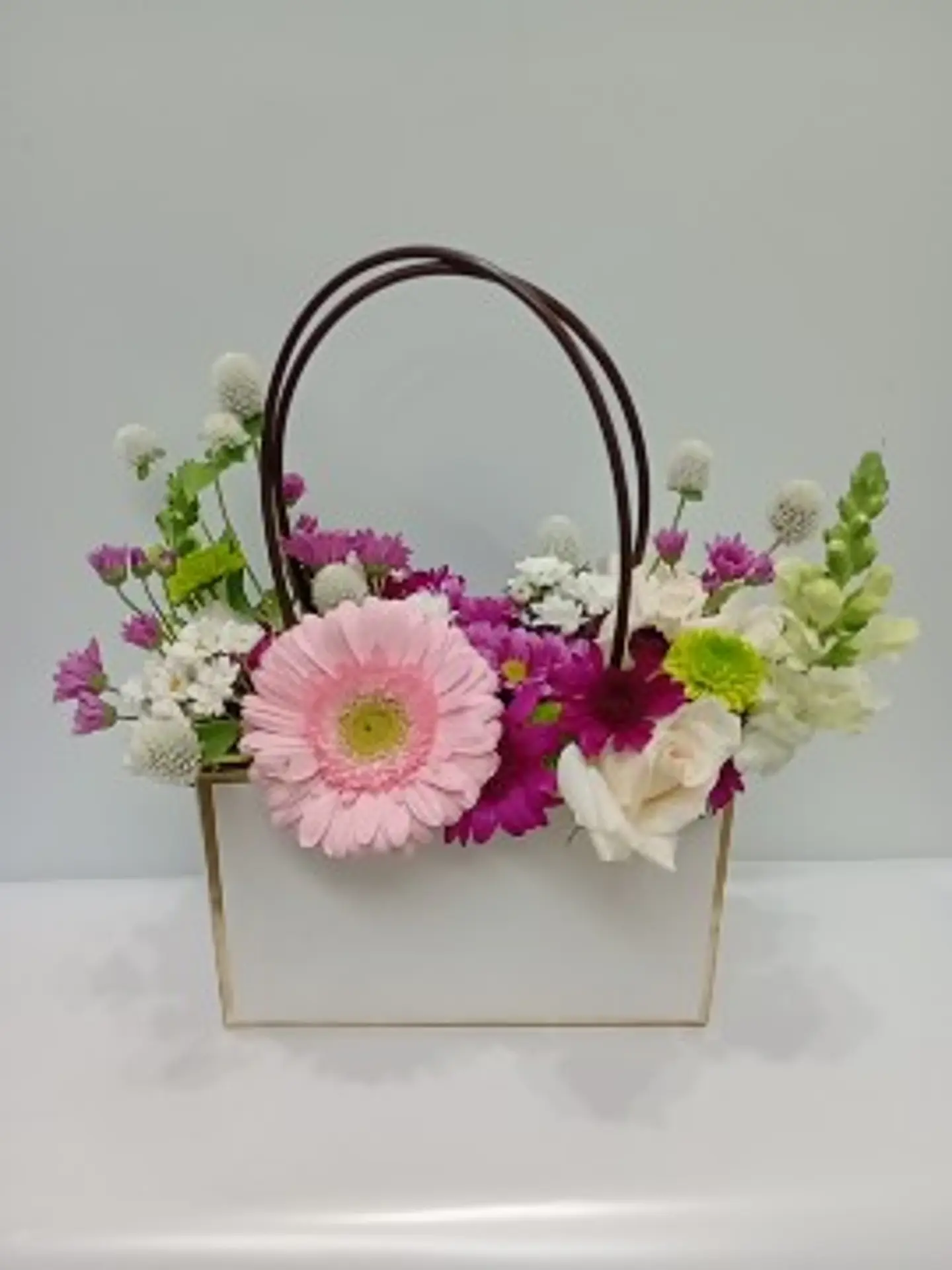 Cartera 2