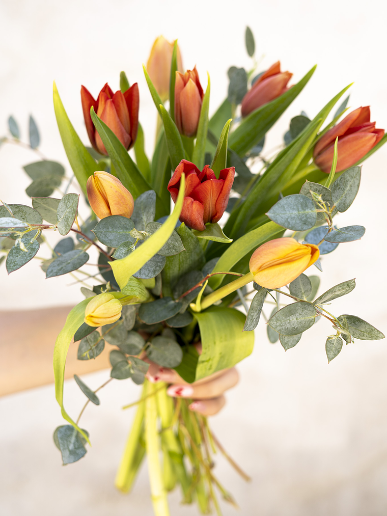 Ramo de Tulipanes 12