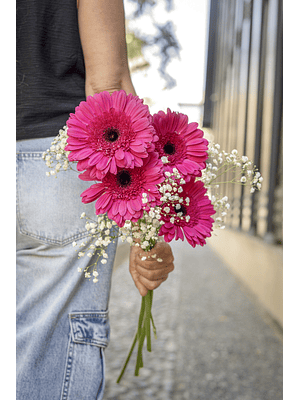 Ramo de Gerberas