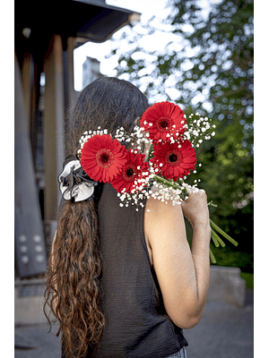Ramo de Gerberas