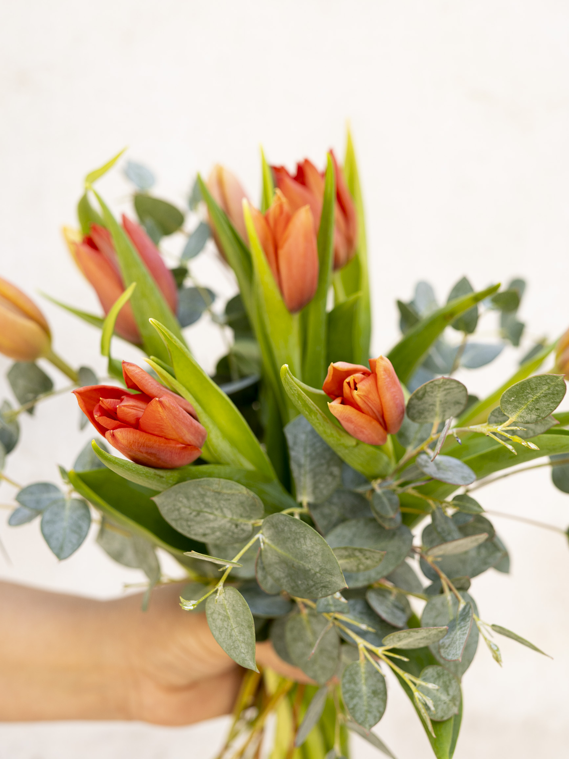 Ramo de Tulipanes 13