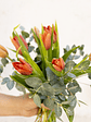 Ramo de Tulipanes - Miniatura 13