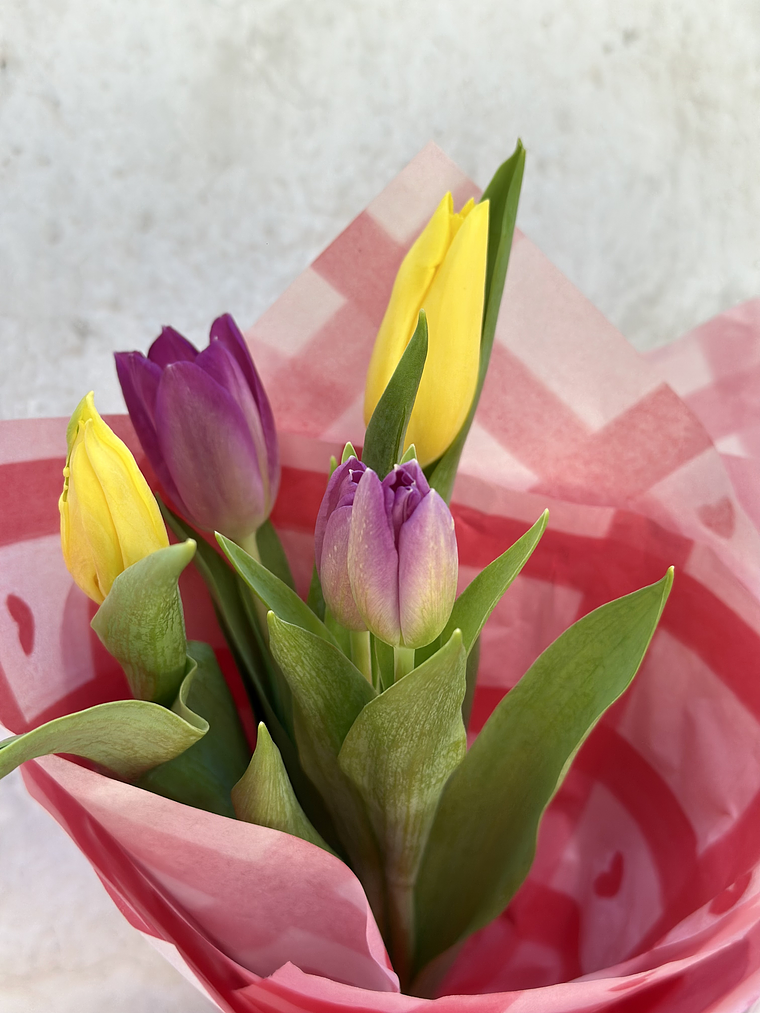 Ramo de Tulipanes 11