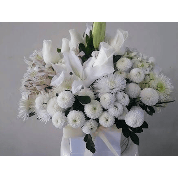 BOX  Rosas Blancas