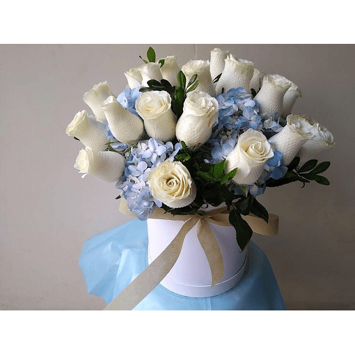 BOX  de Rosas con Hortesias Celestes