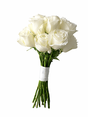 RAMO ESPECIAL DE NOVIA 