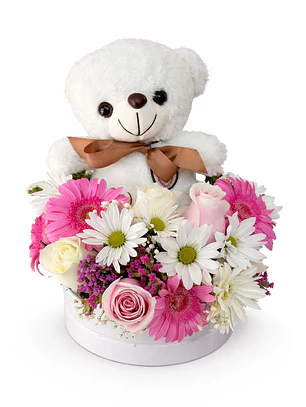 BOX PELUCHE MEDIUM 