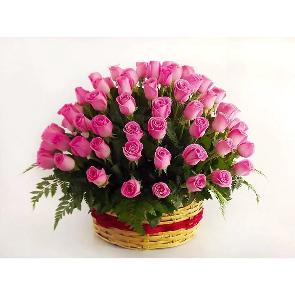 Canasto de 50 Rosas Ecuatorianas y Ghipso 3