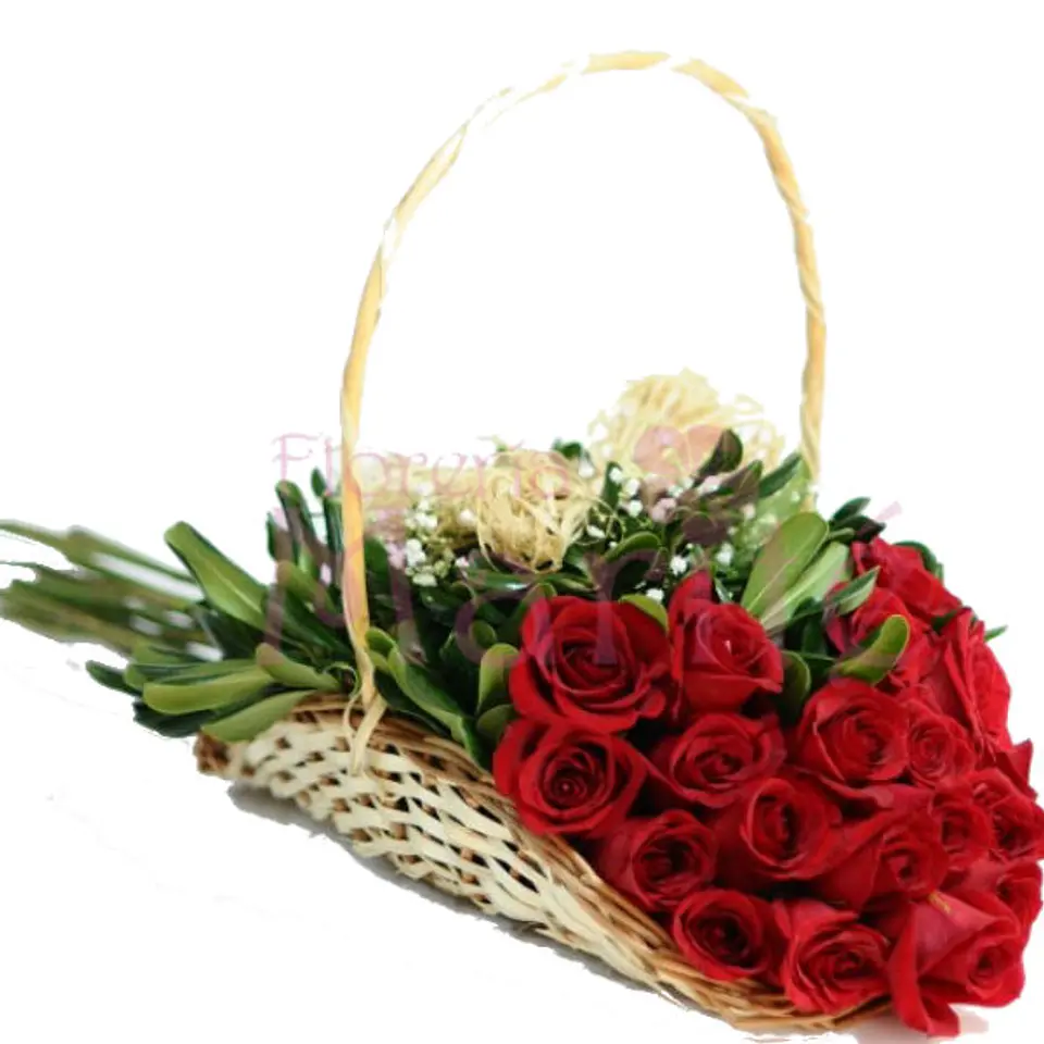 Violetero de 18 Rosas Rojas 1