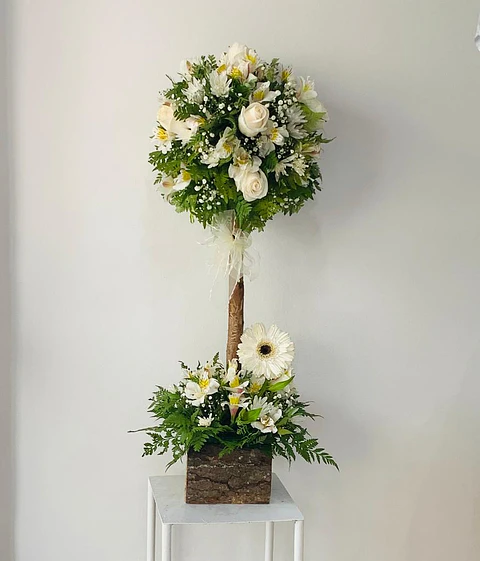 Arbolito Pequeño Funebre