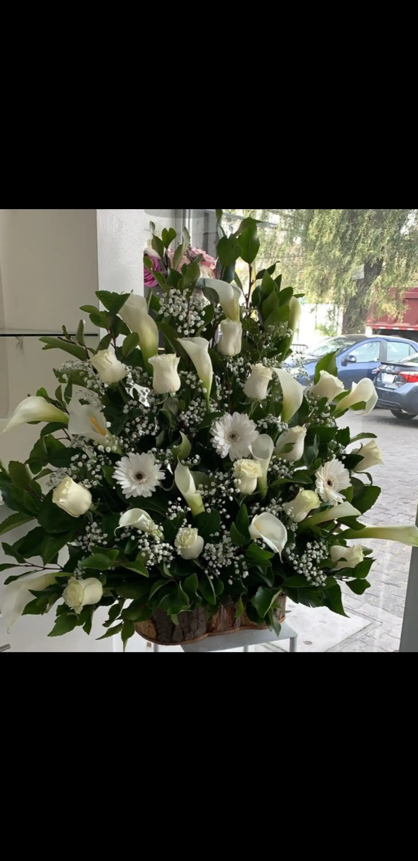 Arrimo de Rosas y Calas 1