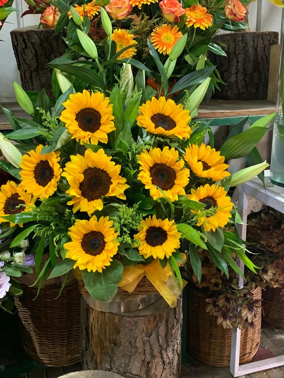 Arrimo de Girasoles y Lilium 1