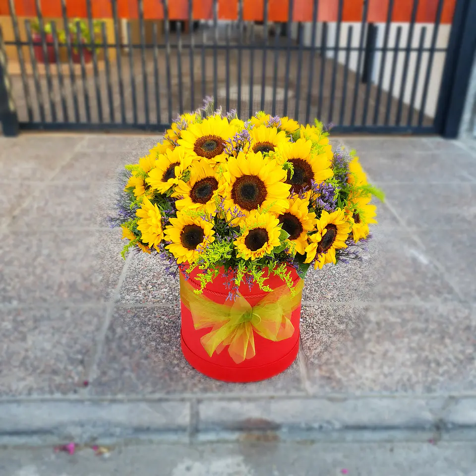 Caja de 30 Girasoles 1