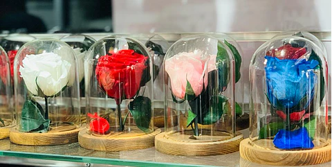 Cupula con Rosa Eterna