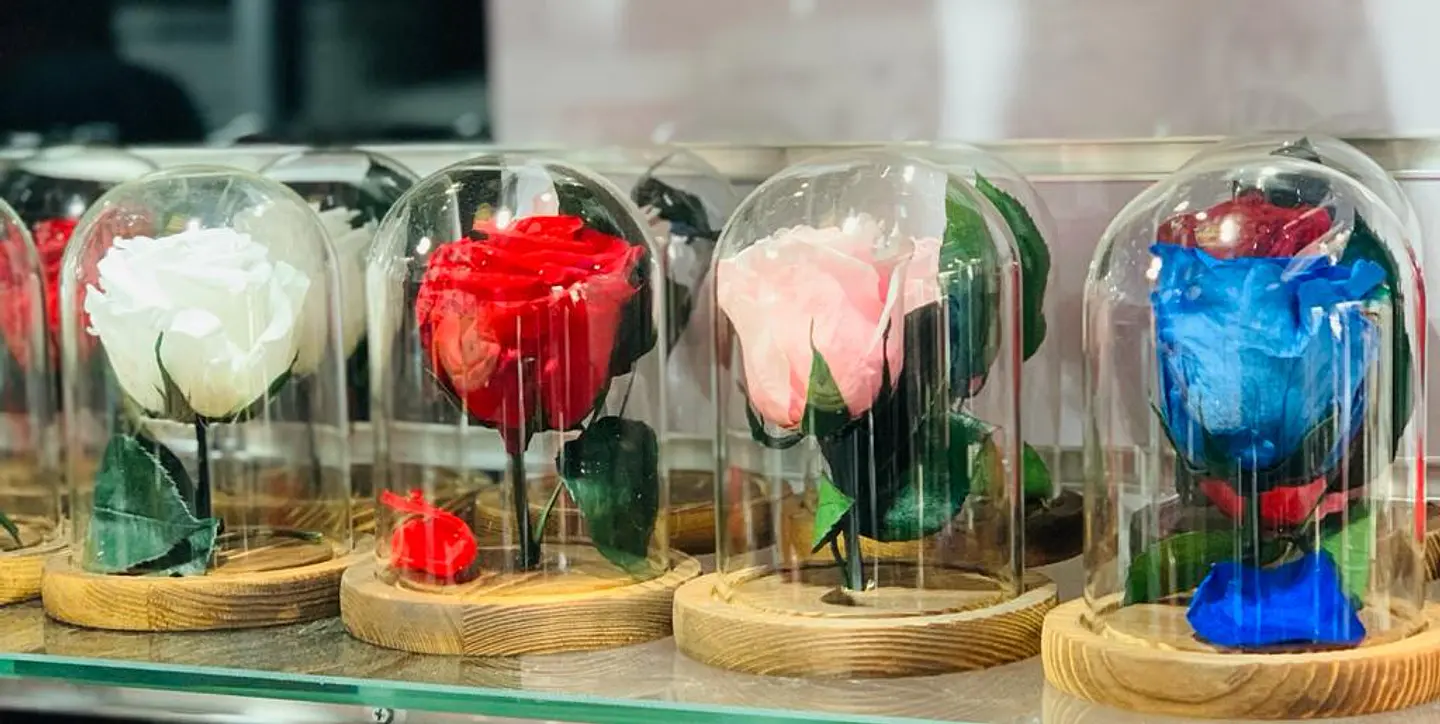 Cupula con Rosa Eterna 1