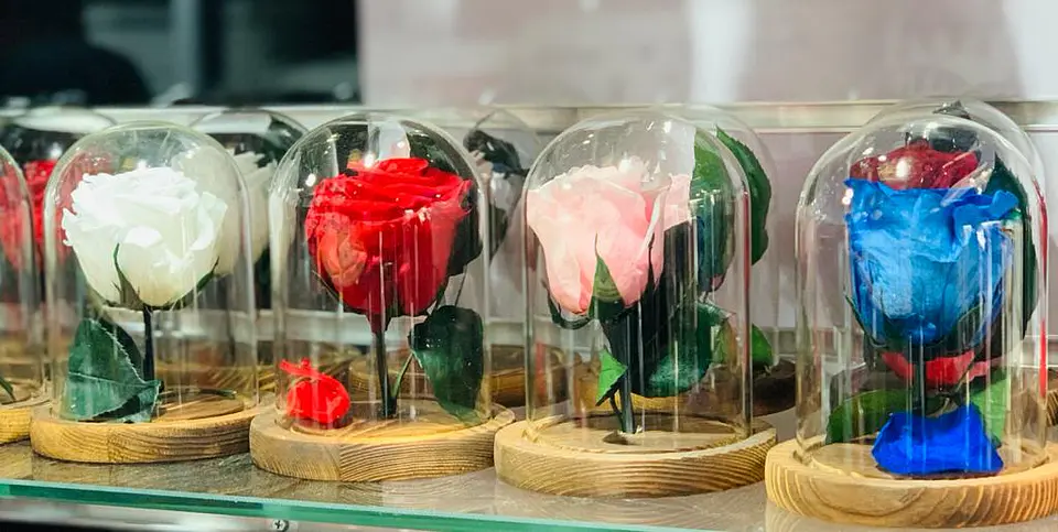 Cupula con Rosa Eterna 1