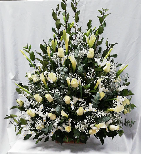 Arrimo de Rosas y Calas