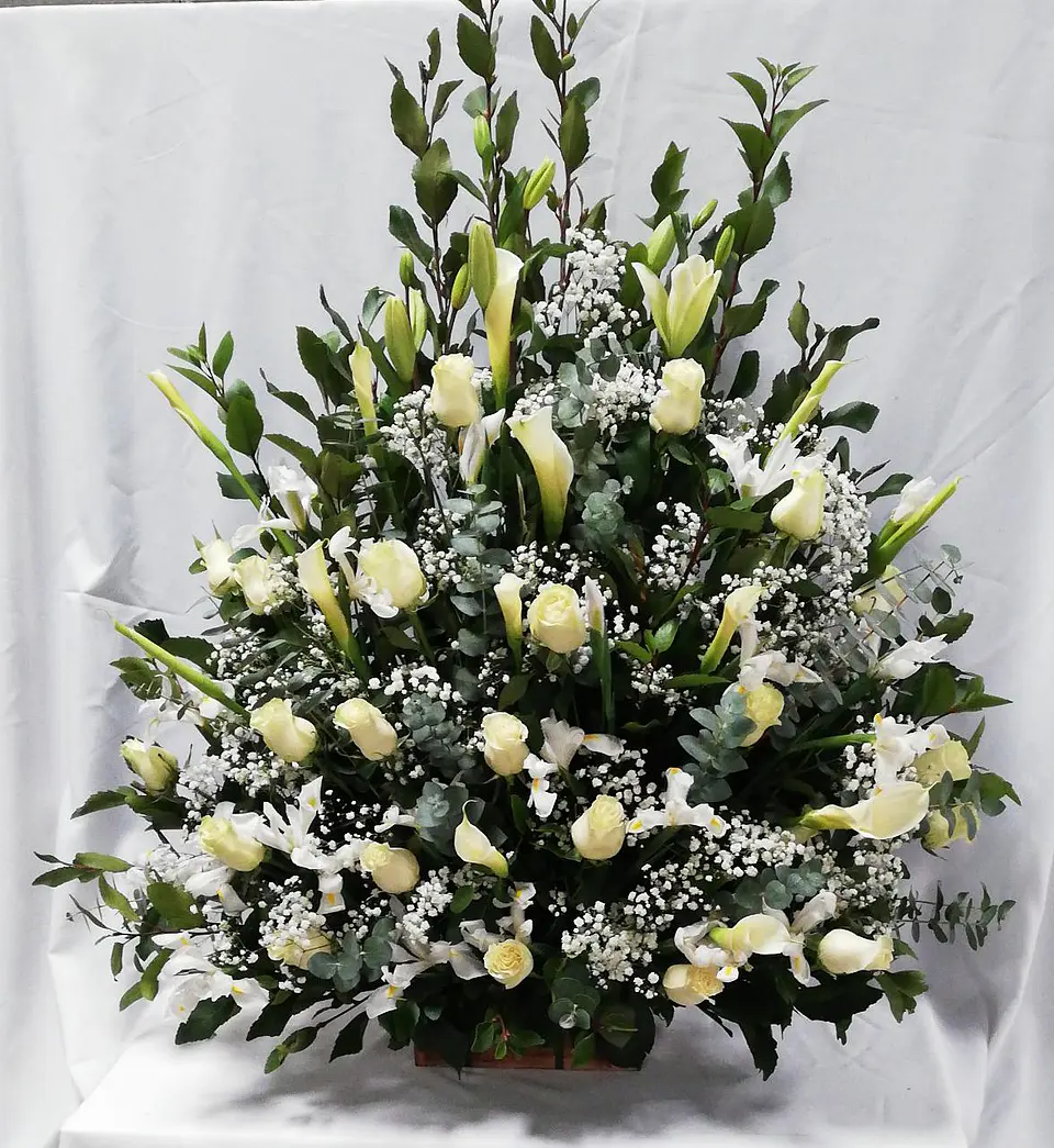Arrimo de Rosas y Calas 1