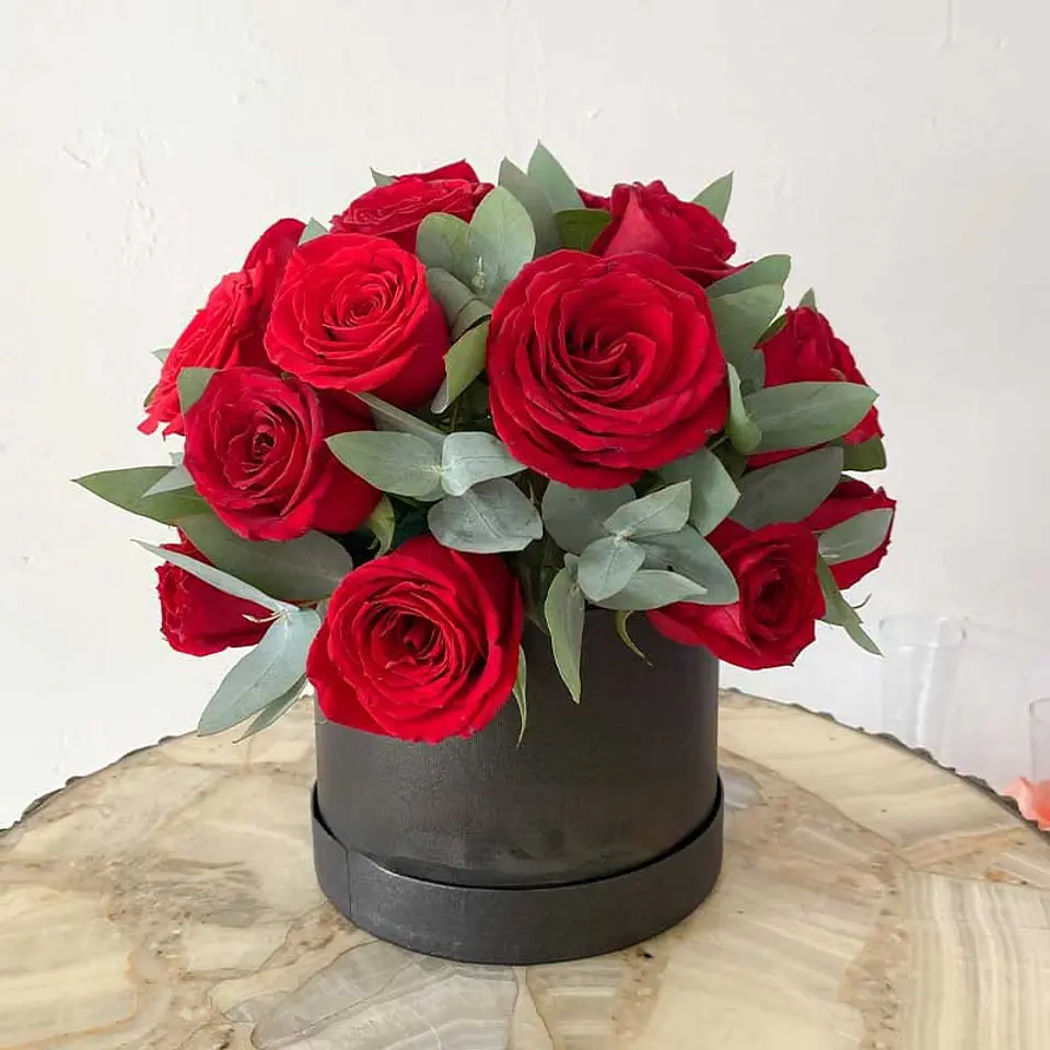 Caja de Rosas y Eucaplito 1