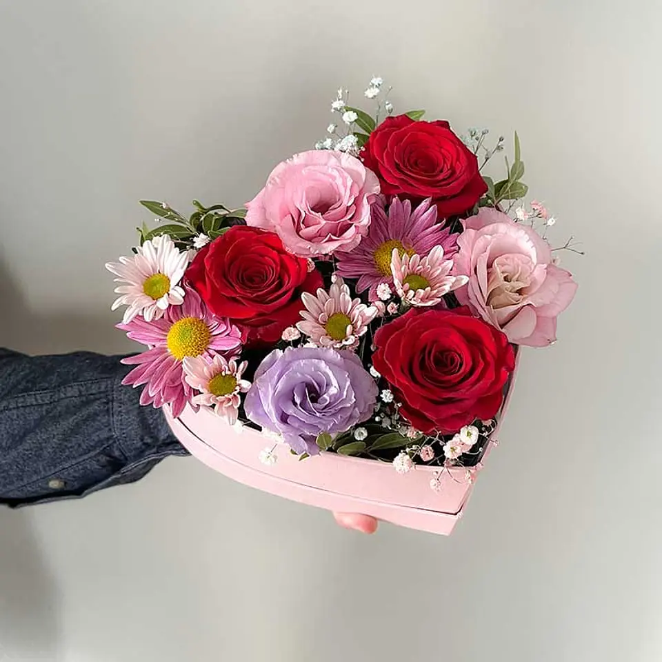 Corazón de Isidora 1