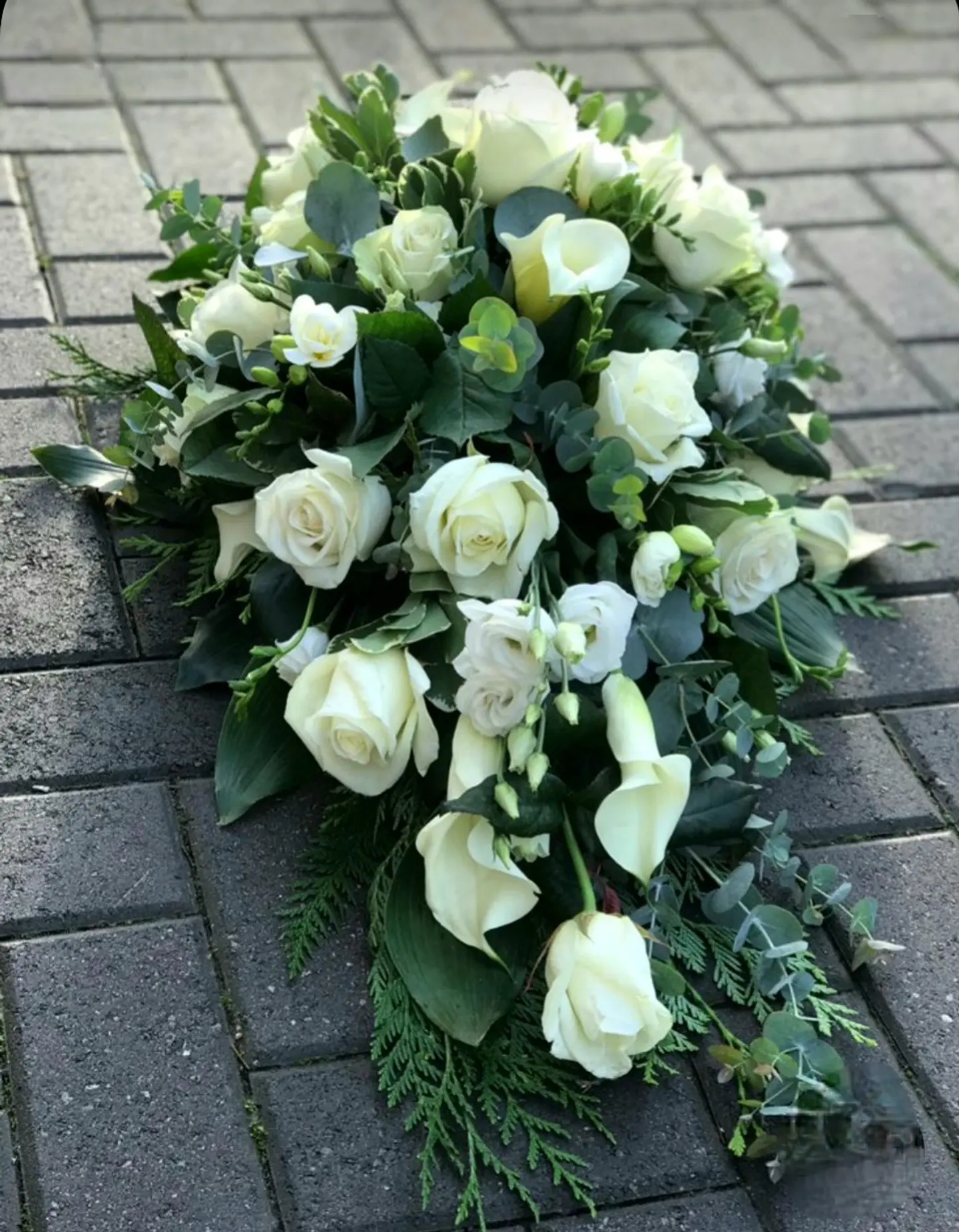 Lagrima de Rosas y eucalipto 1
