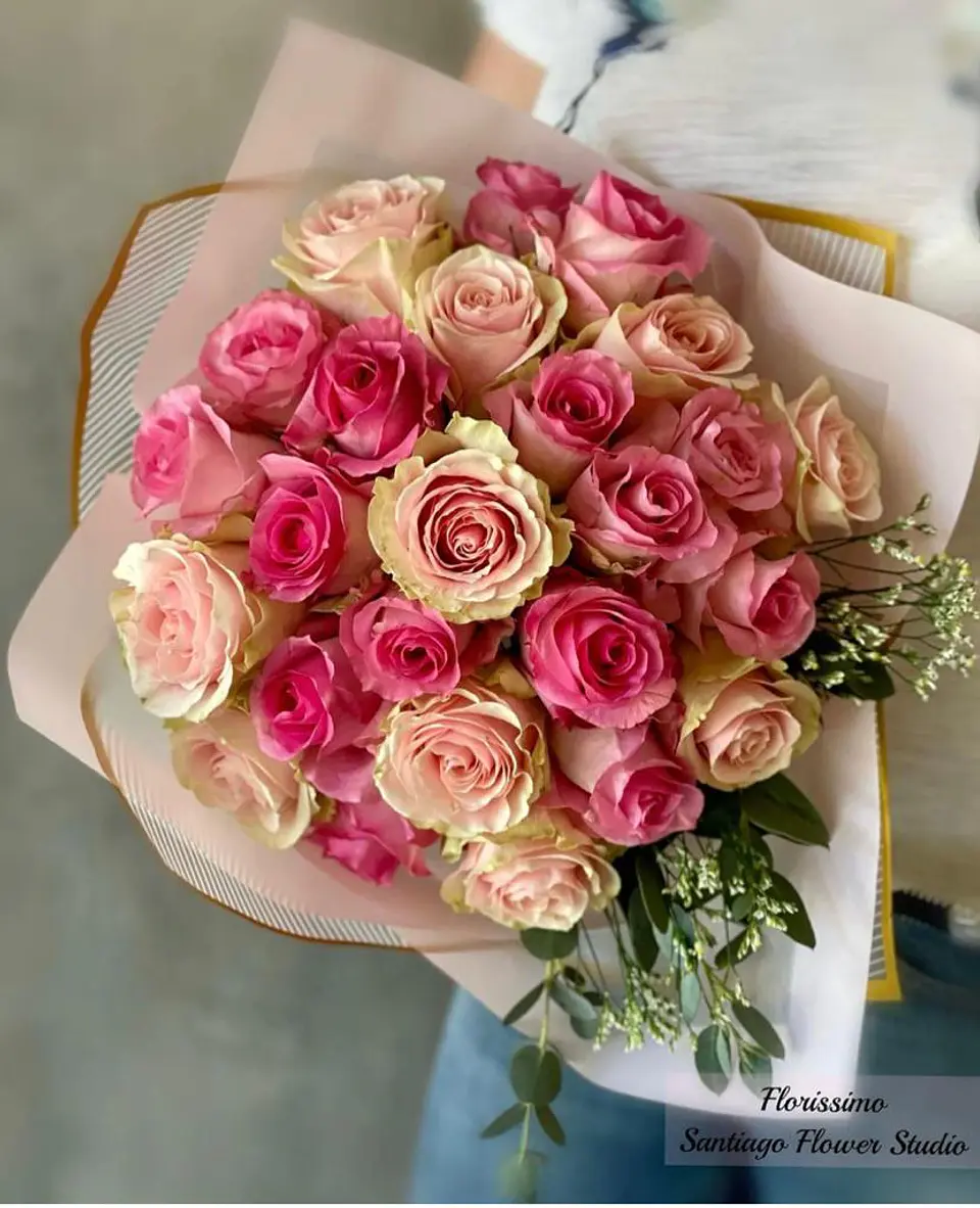 Ramo de 25 Rosas Ecuatorianas dos colores 1