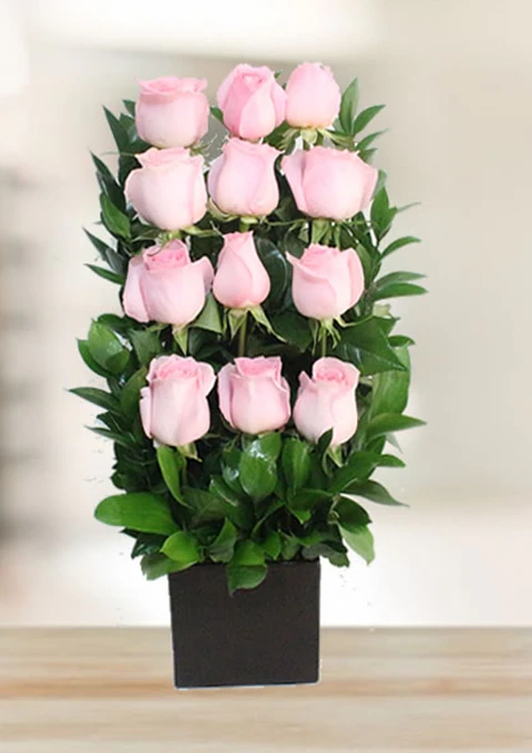 Arrimo de 12 Rosas Ecuatorianas