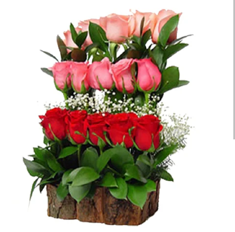 Arrimo de 15 Rosas Multicolor