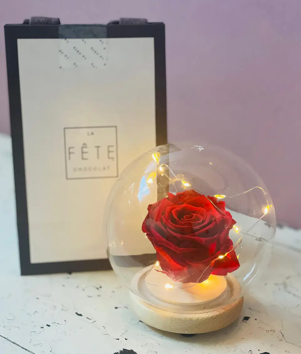 Rosa Eterna Preservada  2